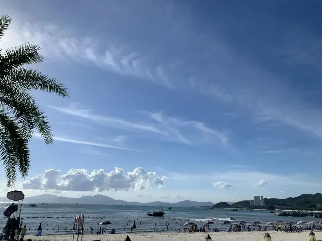 自由，才是跑广告的终点 配图 1