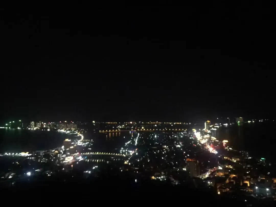 自由，才是跑广告的终点 配图 4